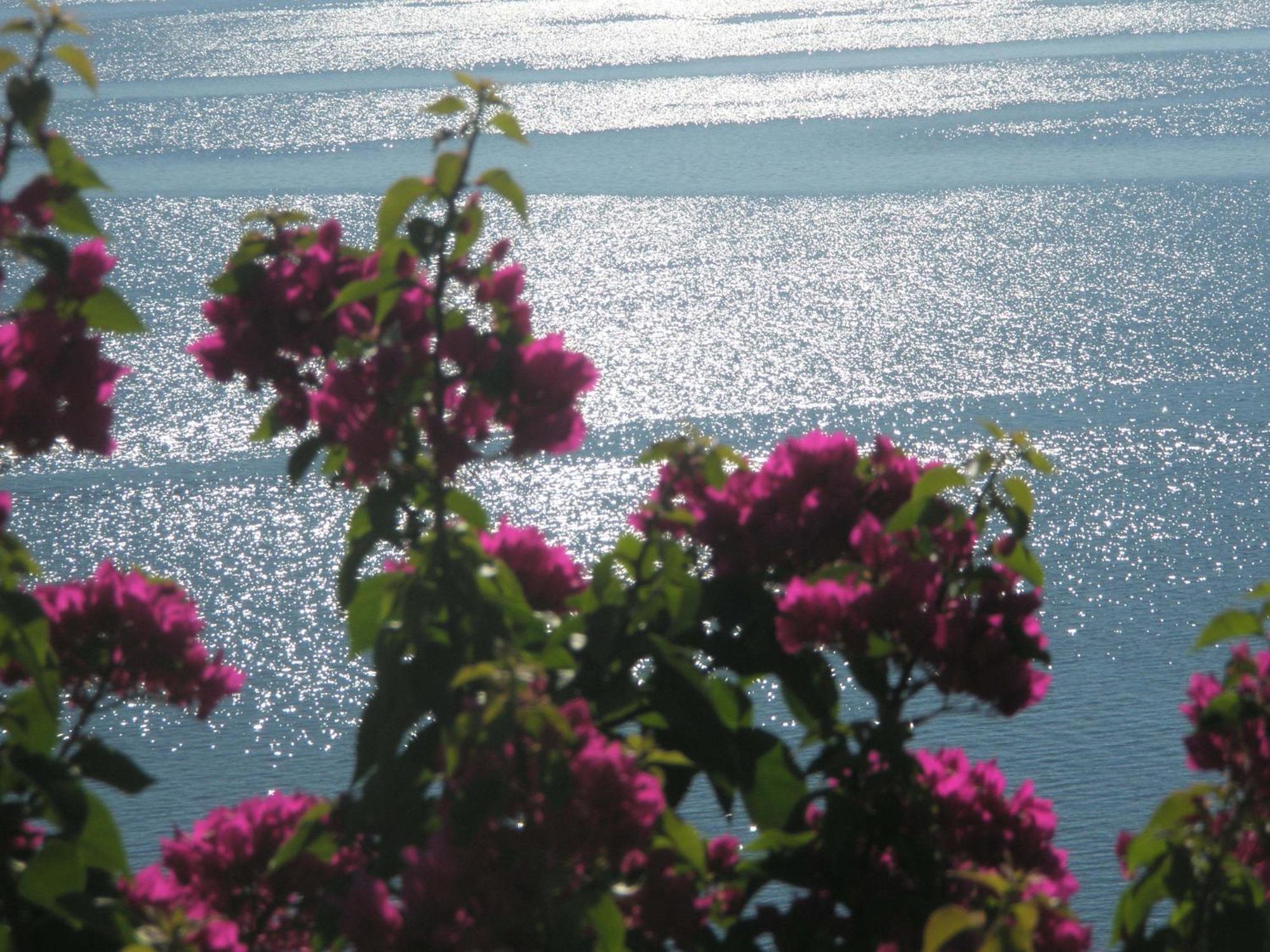 Villa Magemenou Nikiana Bagian luar foto